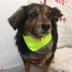 仕上がりミックス