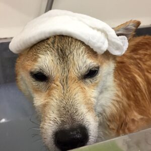 小晴ちゃんスパ中