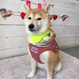 小晴ちゃん施術後