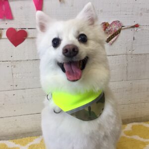 モナちゃん施術後