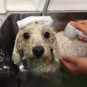 みうちゃんスパ中