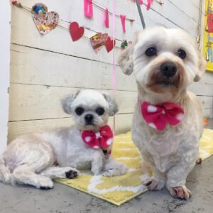 仕上がりミックス