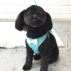 仕上がりミックス