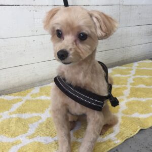 仕上がりミックス