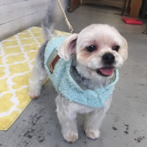 仕上がりミックス