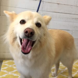 仕上がりミックス