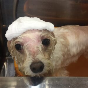 お風呂ミックス