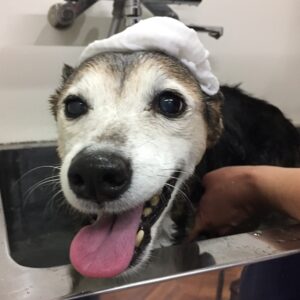 お風呂ミックス