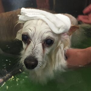 お風呂ミックス