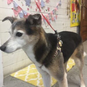 仕上がりミックス