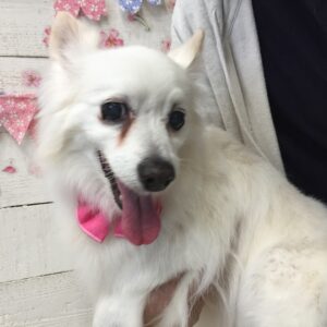 仕上がりミックス