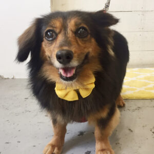 仕上がりミックス