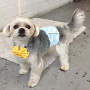 仕上がりミックス