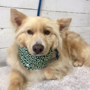 仕上がりミックス