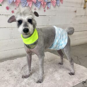 仕上がりMシュナ