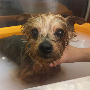 エルちゃんスパ中