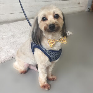 仕上がりミックス