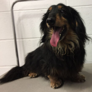 レオちゃんビフォア