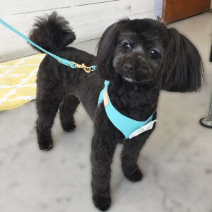 仕上がりミックス