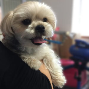 よろしくミックス