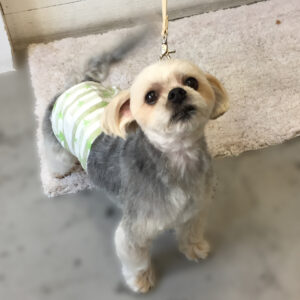 仕上がりミックス