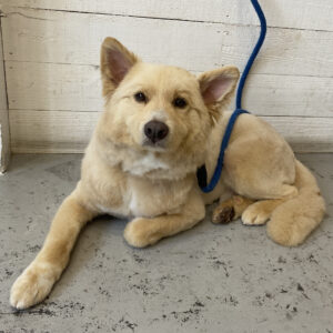 仕上がりミックス