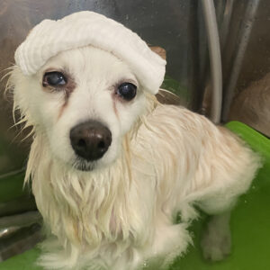 お風呂ミックス