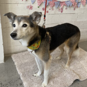 仕上がりミックス