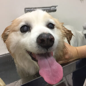 お風呂ミックス