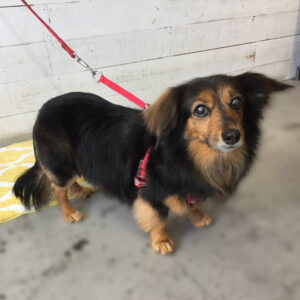 仕上がりミックス