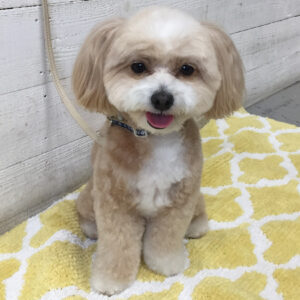 仕上がりミックス