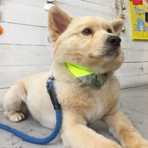 ミキちゃん施術後