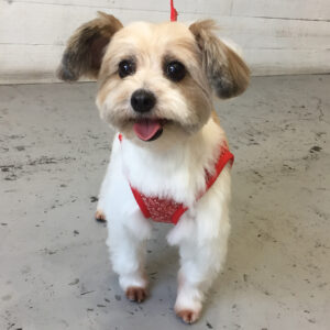 仕上がりミックス