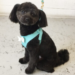 仕上がりミックス