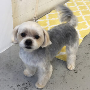 仕上がりミックス