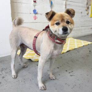 仕上がりミックス