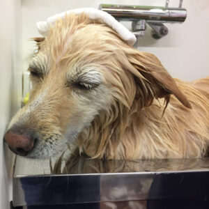 お風呂ミックス