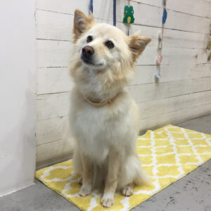 仕上がりミックス