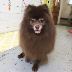 仕上がりミックス