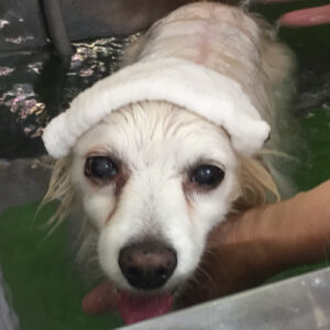 お風呂ミックス