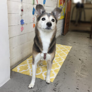 仕上がりミックス