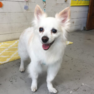 仕上がりミックス