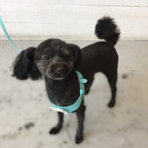 仕上がりミックス