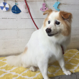 仕上がりミックス