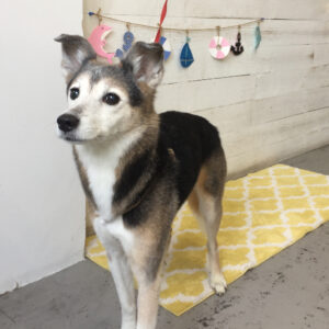 仕上がりミックス