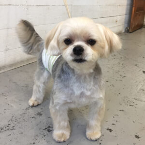 仕上がりミックス