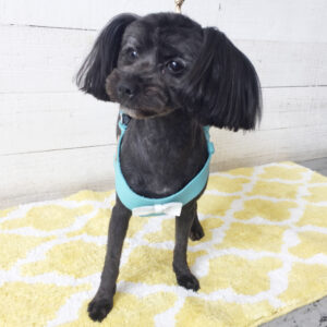 仕上がりミックス