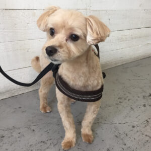 仕上がりミックス