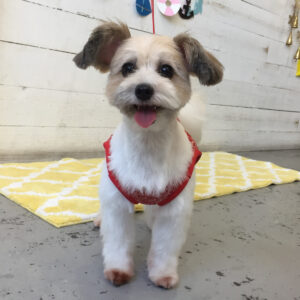 仕上がりミックス