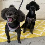 柊ちゃん椋ちゃんアイキャッチ